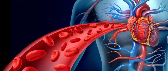 57319883e1774article_3467_1-1 تَوَسُّع الشريان التاجي