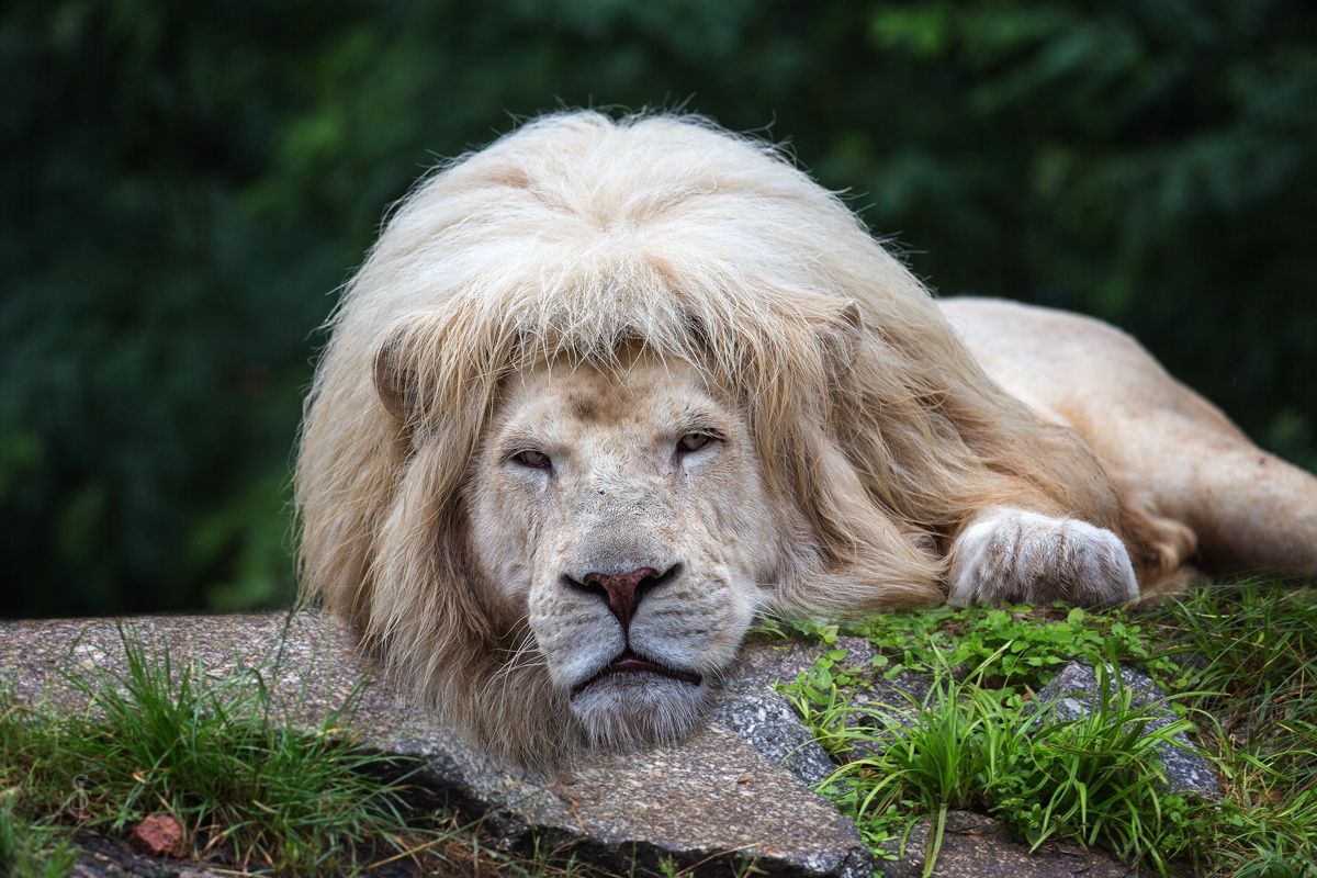 57a20b6cf3d9d42da72cd1dc4321eb20