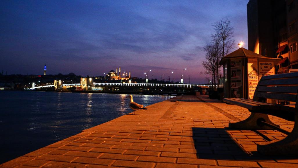 منها تركيا والهند.. كيف تتعامل الشعوب مع الحياة الرقمية بعد جائحة كورونا؟ مع التزام كثير من سكان العالم منازلهم بدؤوا بقضاء مزيد من الوقت أمام شاشات الأجهزة الذكية لتلبية احتياجاتهم (الأناضول)