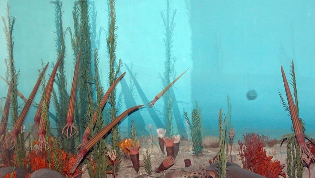 نقص الأكسجين في مياه المحيطات ينذر بانقراض جماعي جديد الانقراض الجماعي الثاني حدث في العصر الأوردوفيشي الذي امتد لمدة 41.6 مليون سنة من حقبة الحياة القديمة (ويكيبيديا)