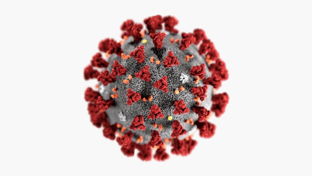 إحصائيات كورونا اليومية.. الحالات والوفيات الرسمية في كل دولة