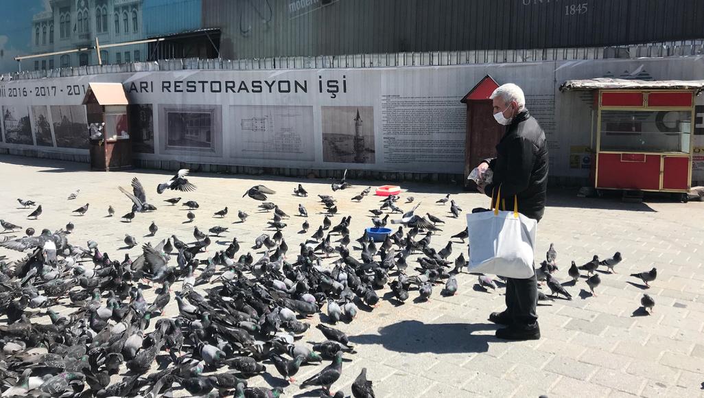 رغم الحجر بسبب كورونا.. إسطنبول لا تنسى الحيوانات الأليفة منطقة أمينونو في إسطنبول (الجزيرة)