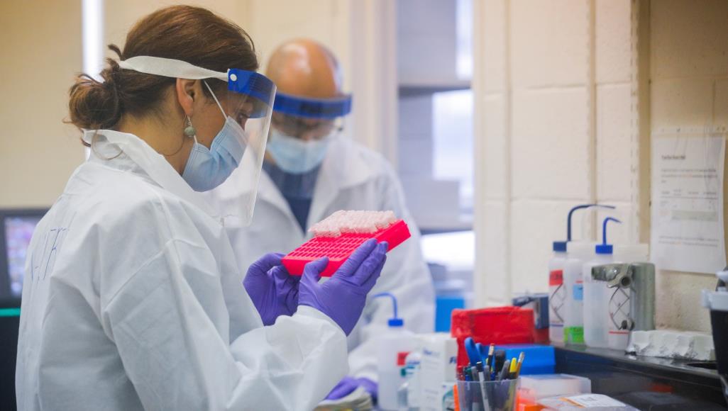150 مشروعا.. سباق بين الصين وأميركا وأوروبا لتطوير لقاحات مضادة لفيروس كورونا عالمان يعكفان على تحليل عينات من فيروس كورونا في مختبر طبي بنيويورك (رويترز)