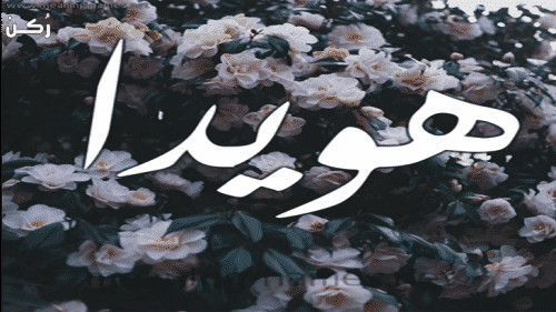 6035 معنى اسم هويدا Howaida وأسرار شخصيتها