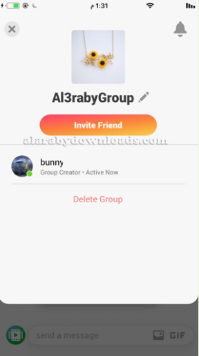 رابيت
