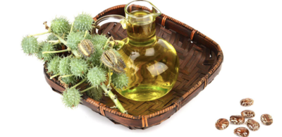 7e48166d755c574ae98788bfa049fda3-1 ماهي فوائد واضرار زيت الخروع للشعر وكيفية استخدامه