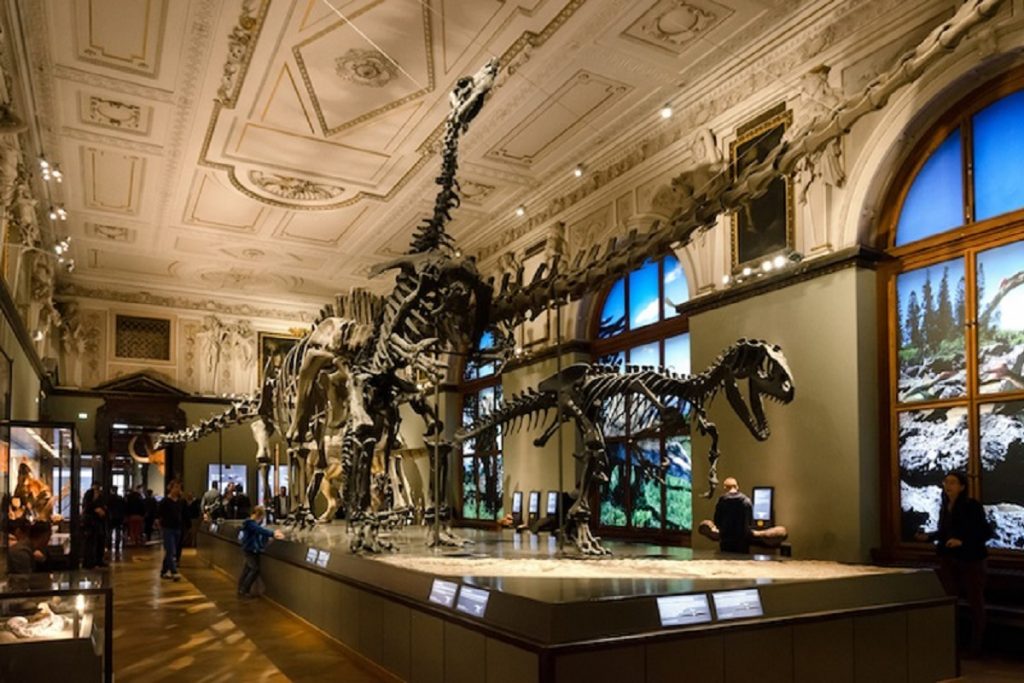 8-naturhistorisches_museum_vienna