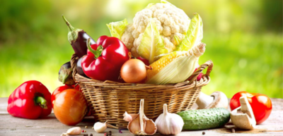 نصائح صحية لكل فصل من فصول السنة