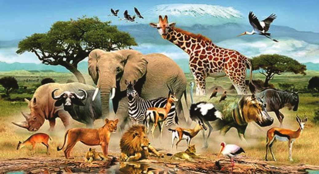 عالم الحيوان – 22 معلومة غريبة لم أكن أعرفها عن عالم الحيوانات