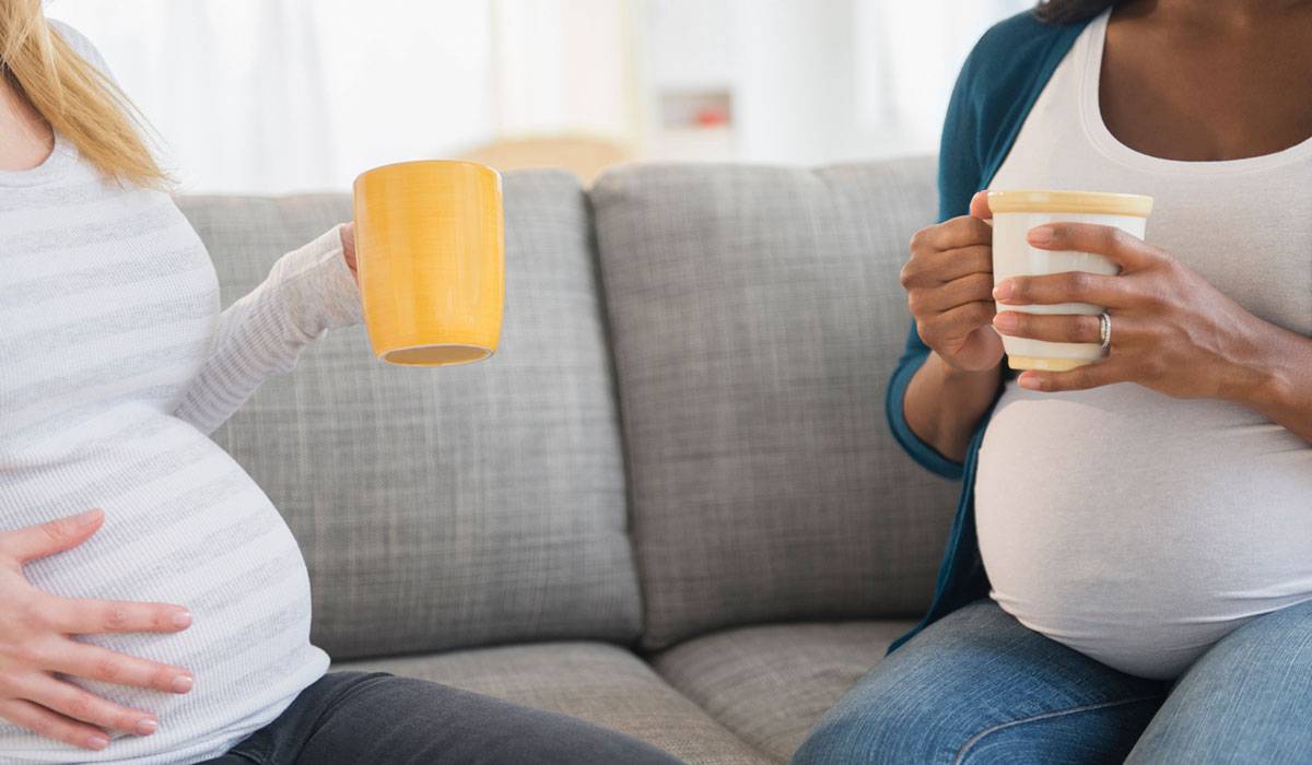 فوائد الشمر للحمل