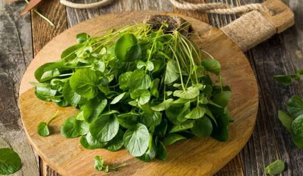 ماسك الجرجير للشعر