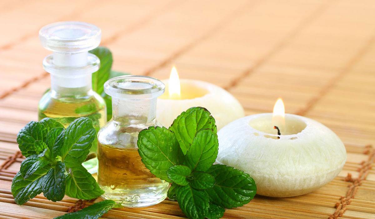 article-15-2 فوائد النعناع للبشرة