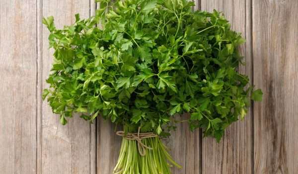 البقدونس للتخسيس أو البقدونس للتنحيف