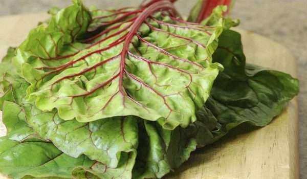 فوائد السلق للرجيم