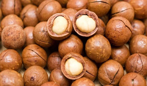 article-22-8 فوائد المكاديميا