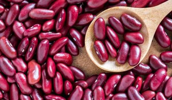 فوائد الفاصوليا الحمراء للرجيم