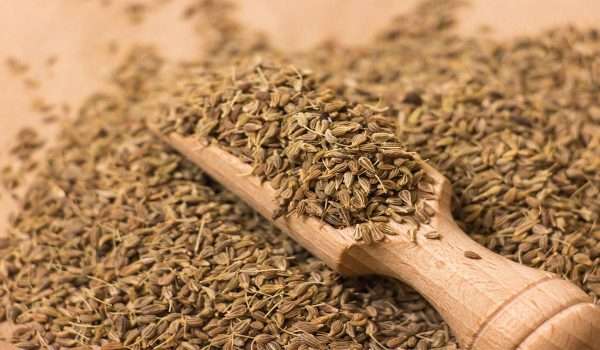 فوائد اليانسون للتنحيف