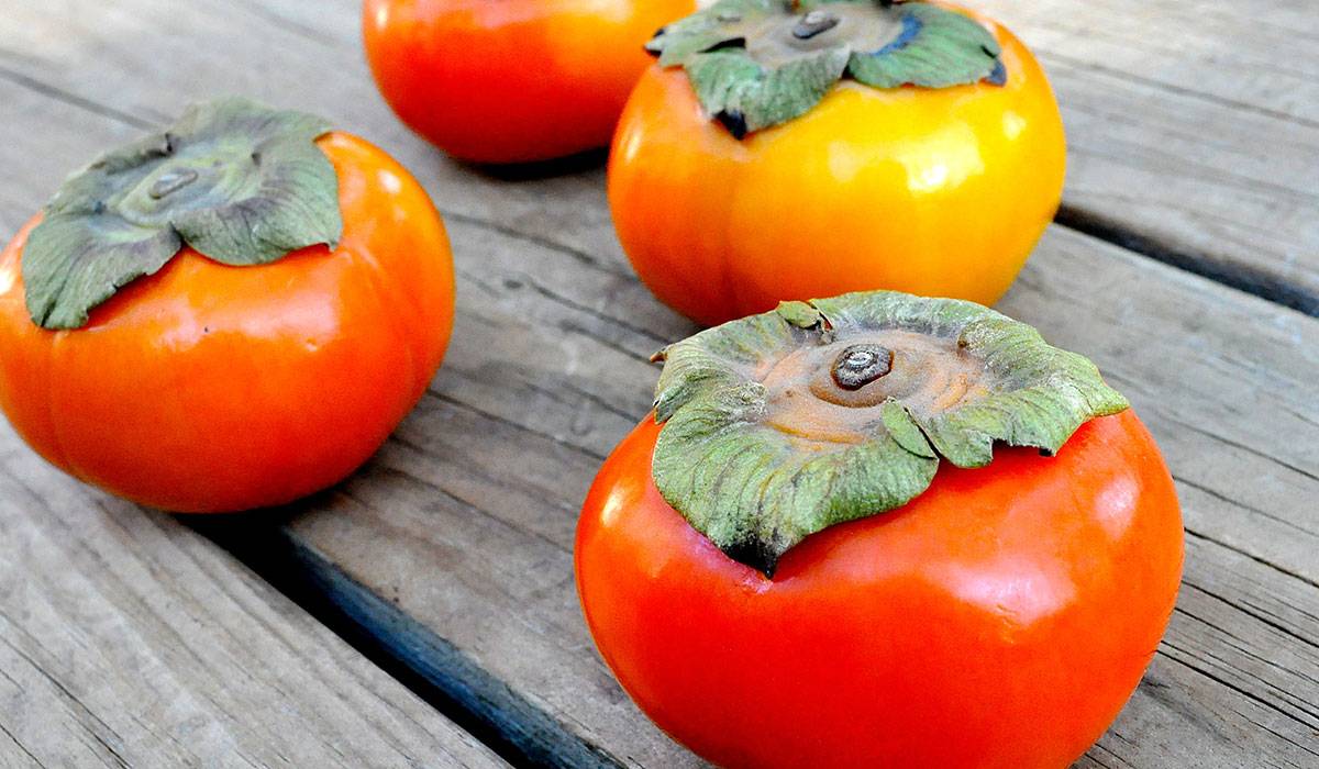 فاكهة الكاكا للحامل