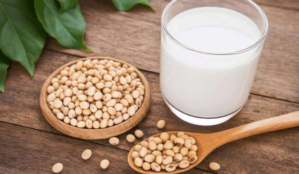 حليب الصويا للتسمين