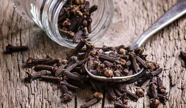 article-92-2 فوائد القرنفل للتخسيس