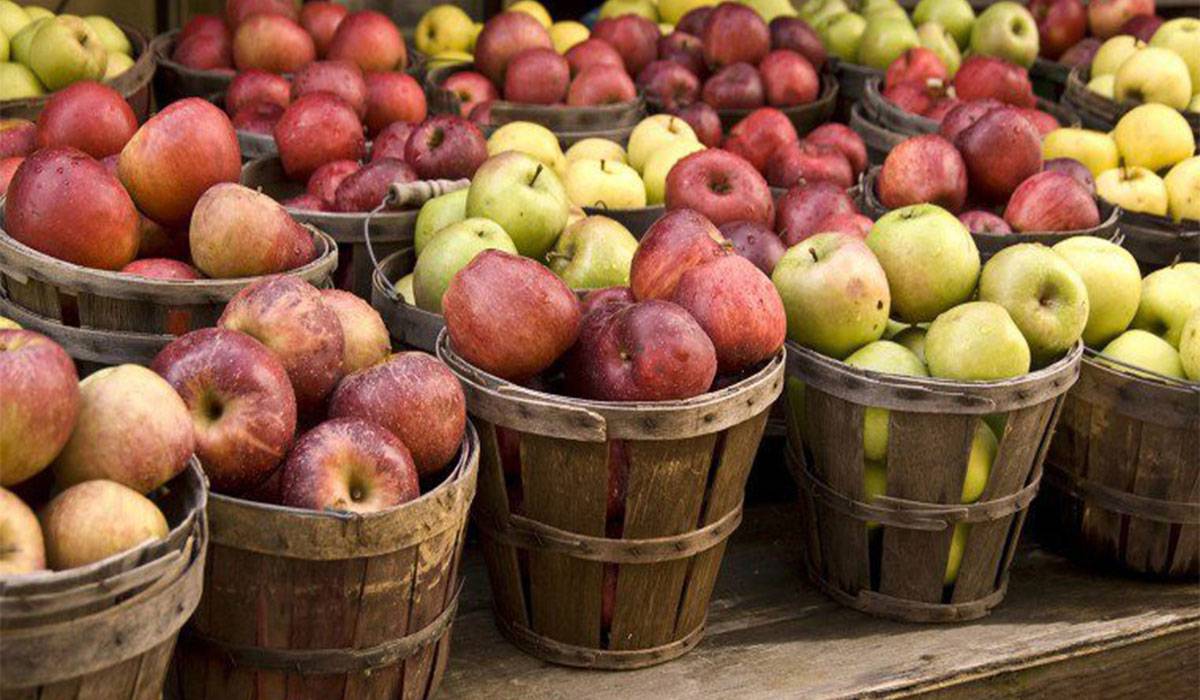 الكربوهيدرات في التفاح