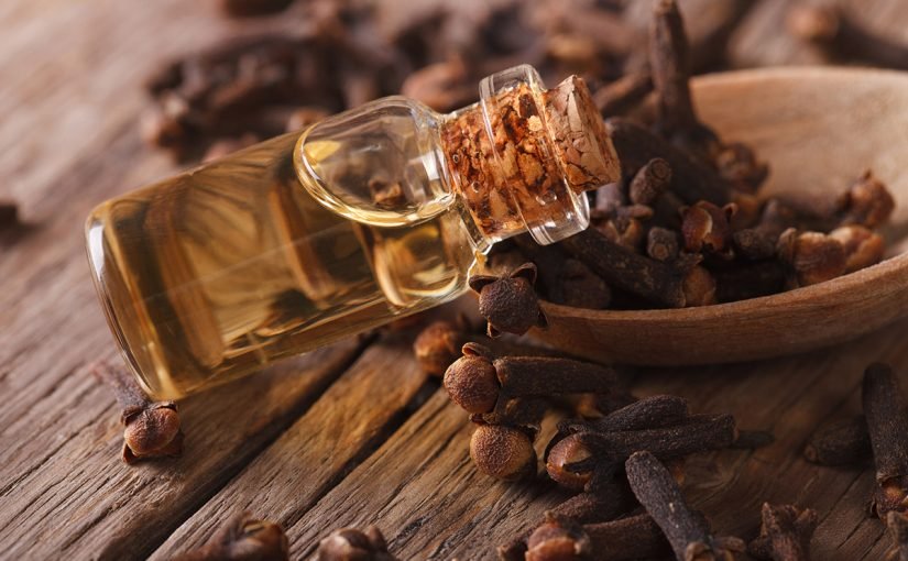 ayurveda06_dorthelolck-825x510-2 فوائد زيت القرنفل للشعر