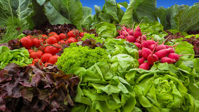 طبابة نت - فوائد الأطعمة