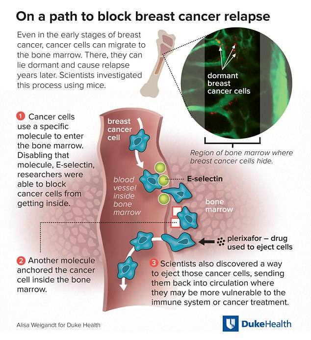 Breast cancer