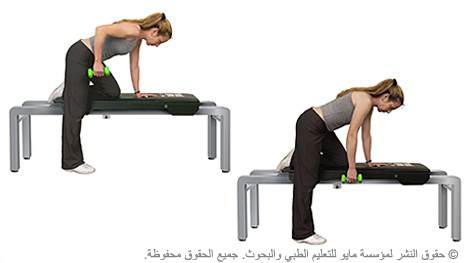 التجديف بالدمبل التجديف بالدمبل