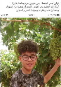 capture-de28099ecc81cran-2019-05-12-acc80-13