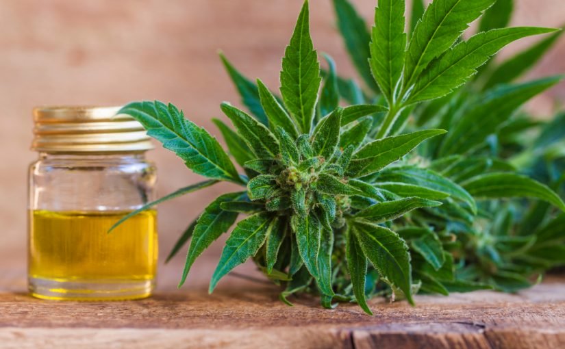 cbd-825x510-2 فوائد زيت الحشيش للشعر