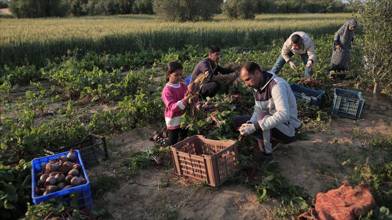 cc167e9e-54c7-469e-816f-4582ce7cc92e-218