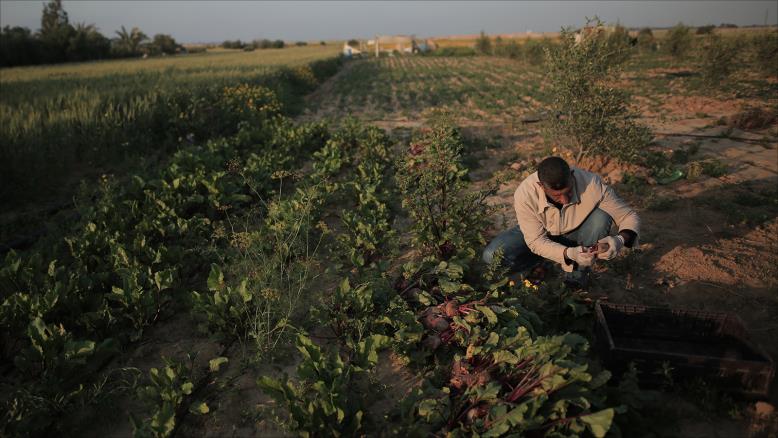 cc167e9e-54c7-469e-816f-4582ce7cc92e-219