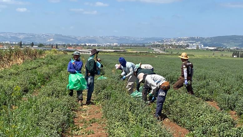 cc167e9e-54c7-469e-816f-4582ce7cc92e-259