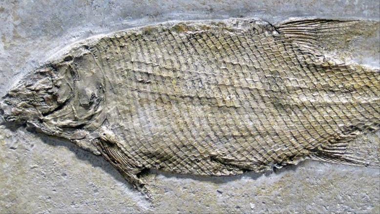 cc167e9e-54c7-469e-816f-4582ce7cc92e-308