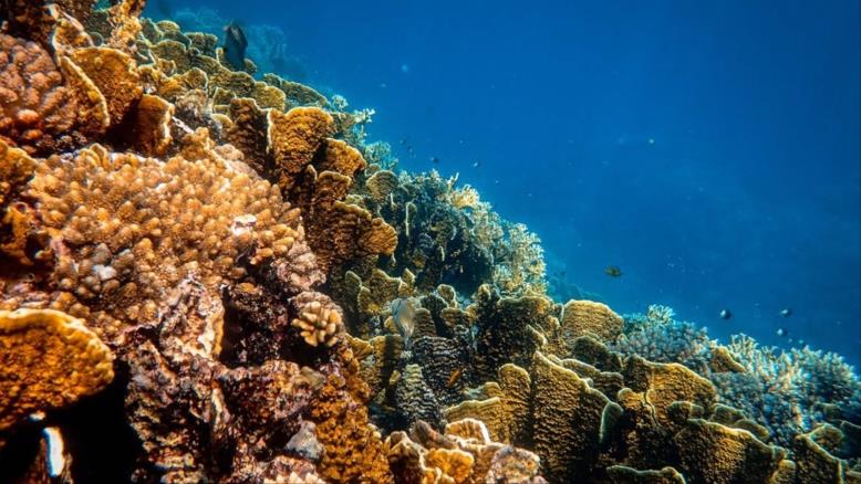 cc167e9e-54c7-469e-816f-4582ce7cc92e-334