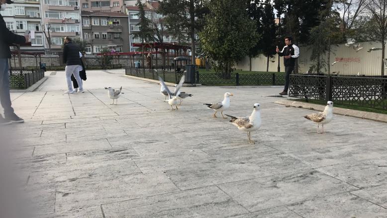 cc167e9e-54c7-469e-816f-4582ce7cc92e-490