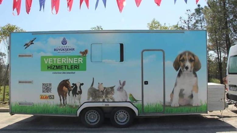 cc167e9e-54c7-469e-816f-4582ce7cc92e-491