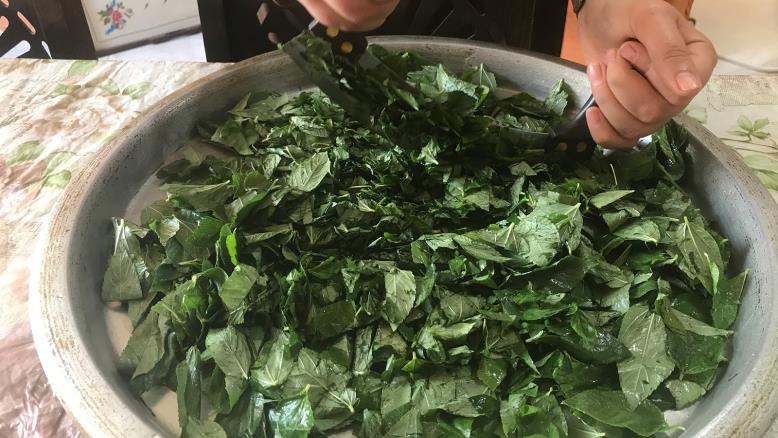 cc167e9e-54c7-469e-816f-4582ce7cc92e-524