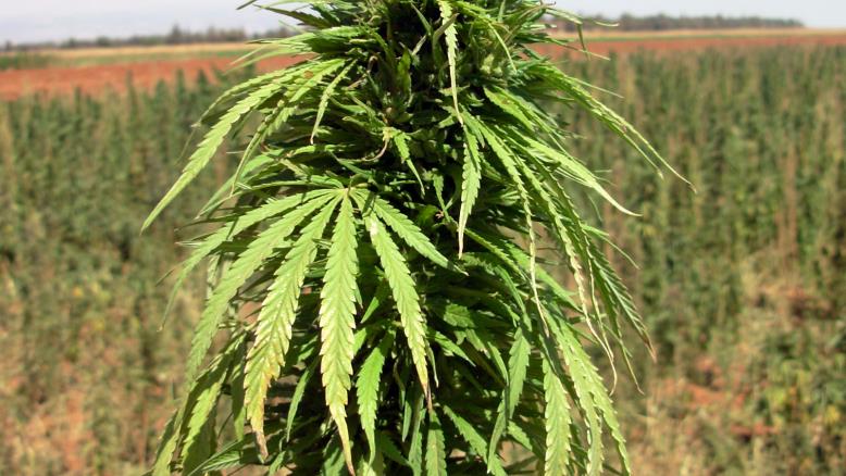 cc167e9e-54c7-469e-816f-4582ce7cc92e-536