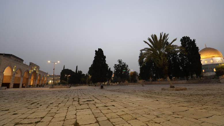 cc167e9e-54c7-469e-816f-4582ce7cc92e-541