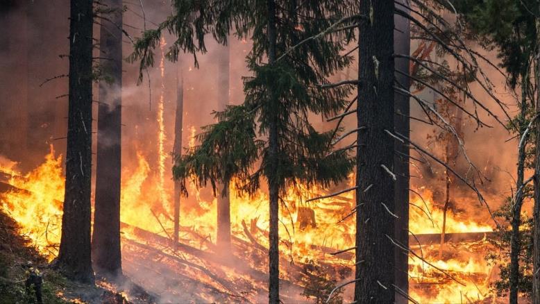 cc167e9e-54c7-469e-816f-4582ce7cc92e-556