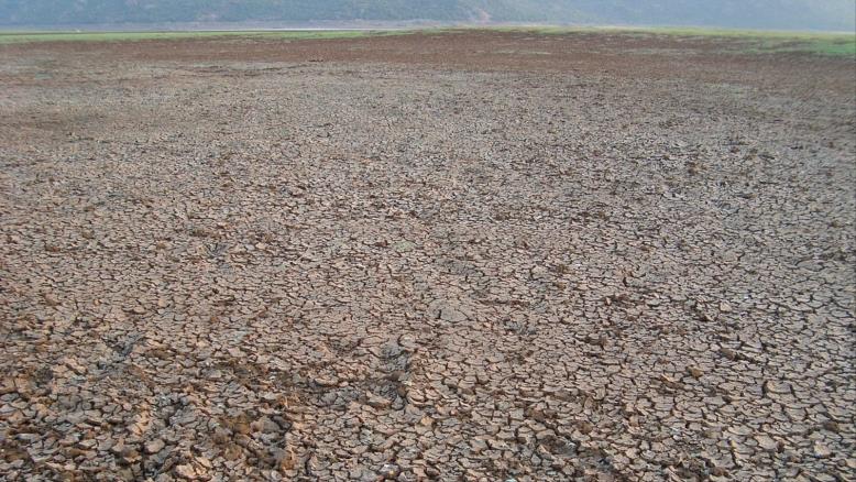 cc167e9e-54c7-469e-816f-4582ce7cc92e-557