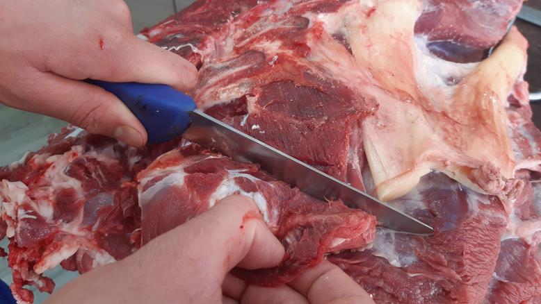 cc167e9e-54c7-469e-816f-4582ce7cc92e-585