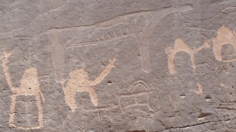 cc167e9e-54c7-469e-816f-4582ce7cc92e-96 أدت التغيرات المناخية إلى انتقال سكان الجزيرة العربية من الصيد إلى الرعي (مشروع باليوديزرتز-معهد ماكس بلانك)