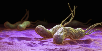 cecab2f2a2f110075f3edf85b360eb33-1 أعراض جرثومة المعدة النفسية