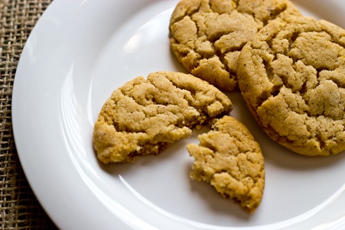 chewygingerbiscuits4