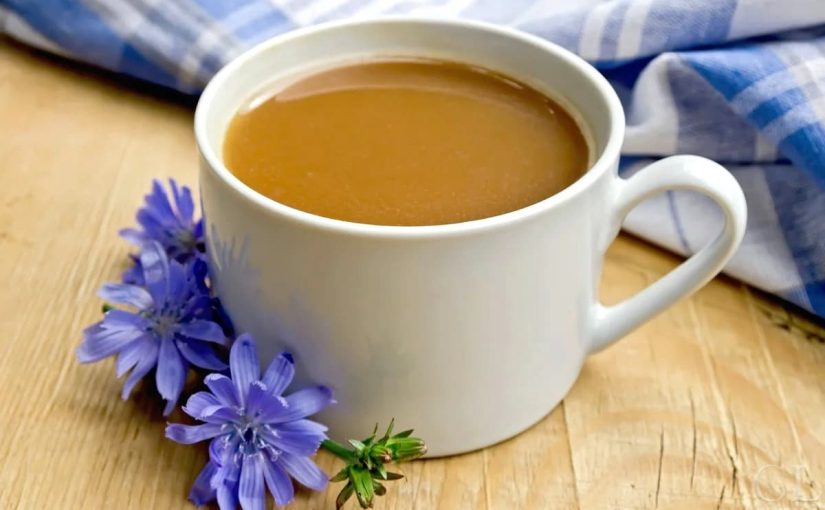 قهوة الشيكوريا