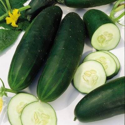 Cucumbers-Straight-8