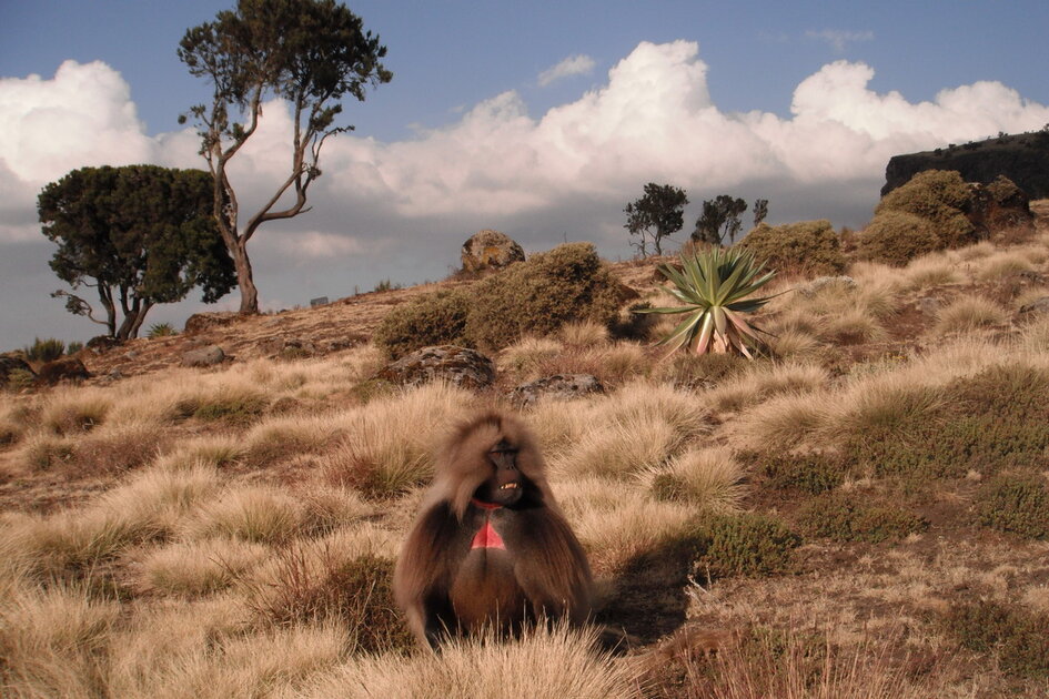 d0a2d183d180d18b-d0b2-d0add184d0b8d0bed0bfd0b8d18e-3